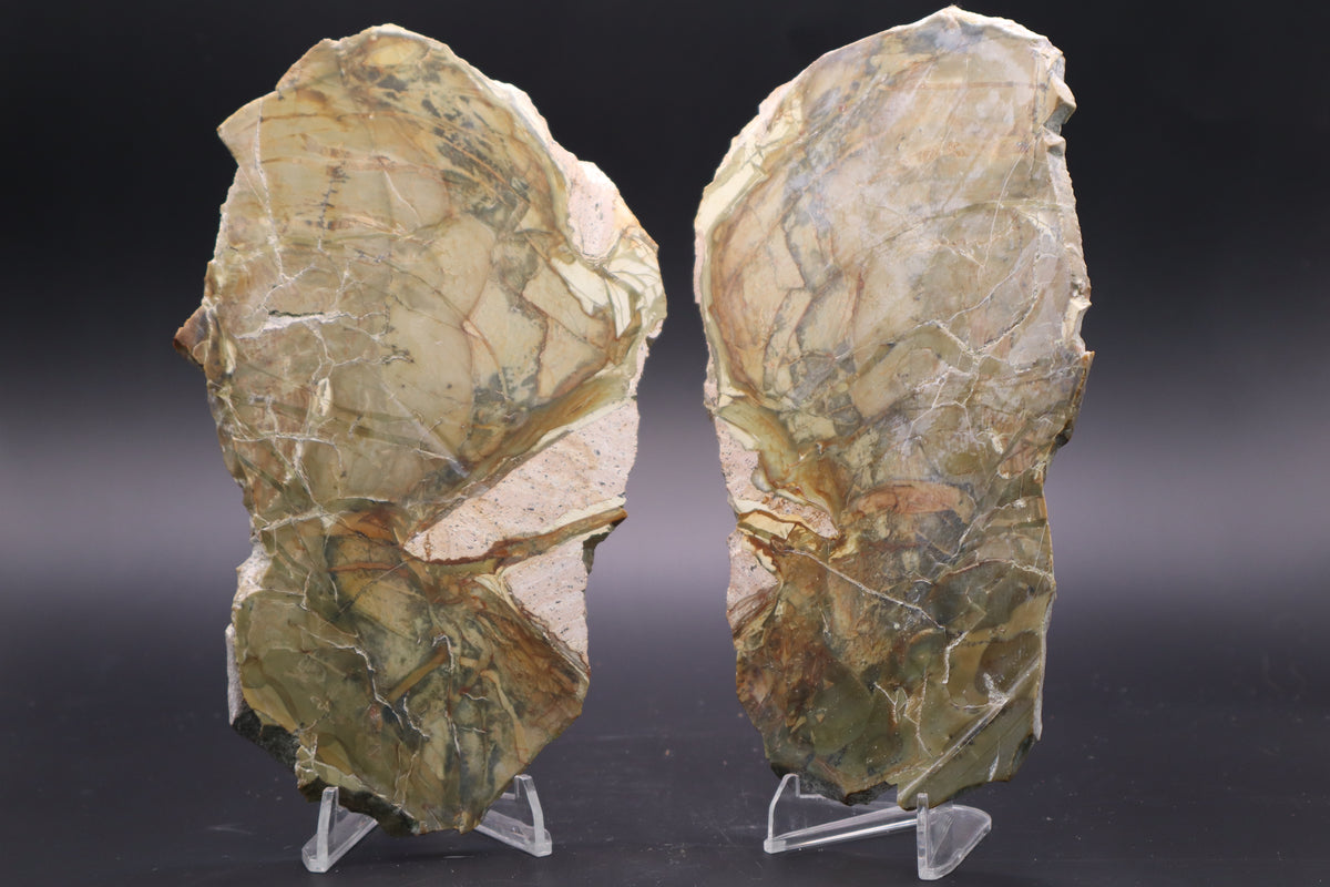Morrisonite Jasper slab (Unpolished Butterfly set)