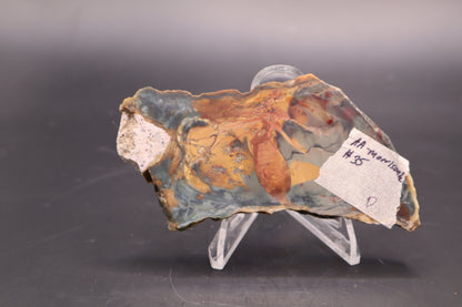 Morrisonite Jasper slab (Unpolished)