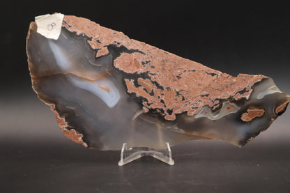 Brazilian Agate (Unpolished)