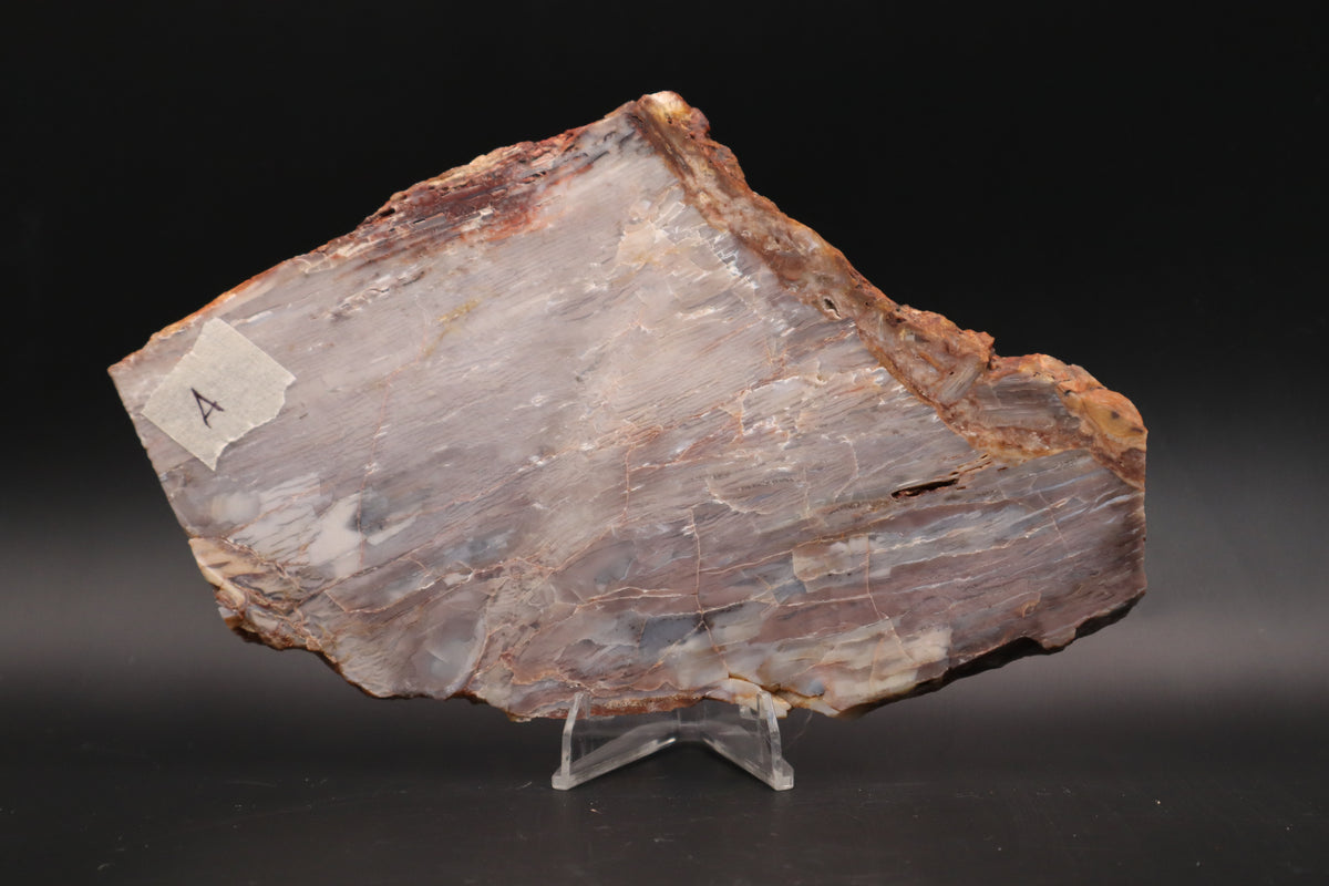 Baskinite Jasper slab (Unpolished)