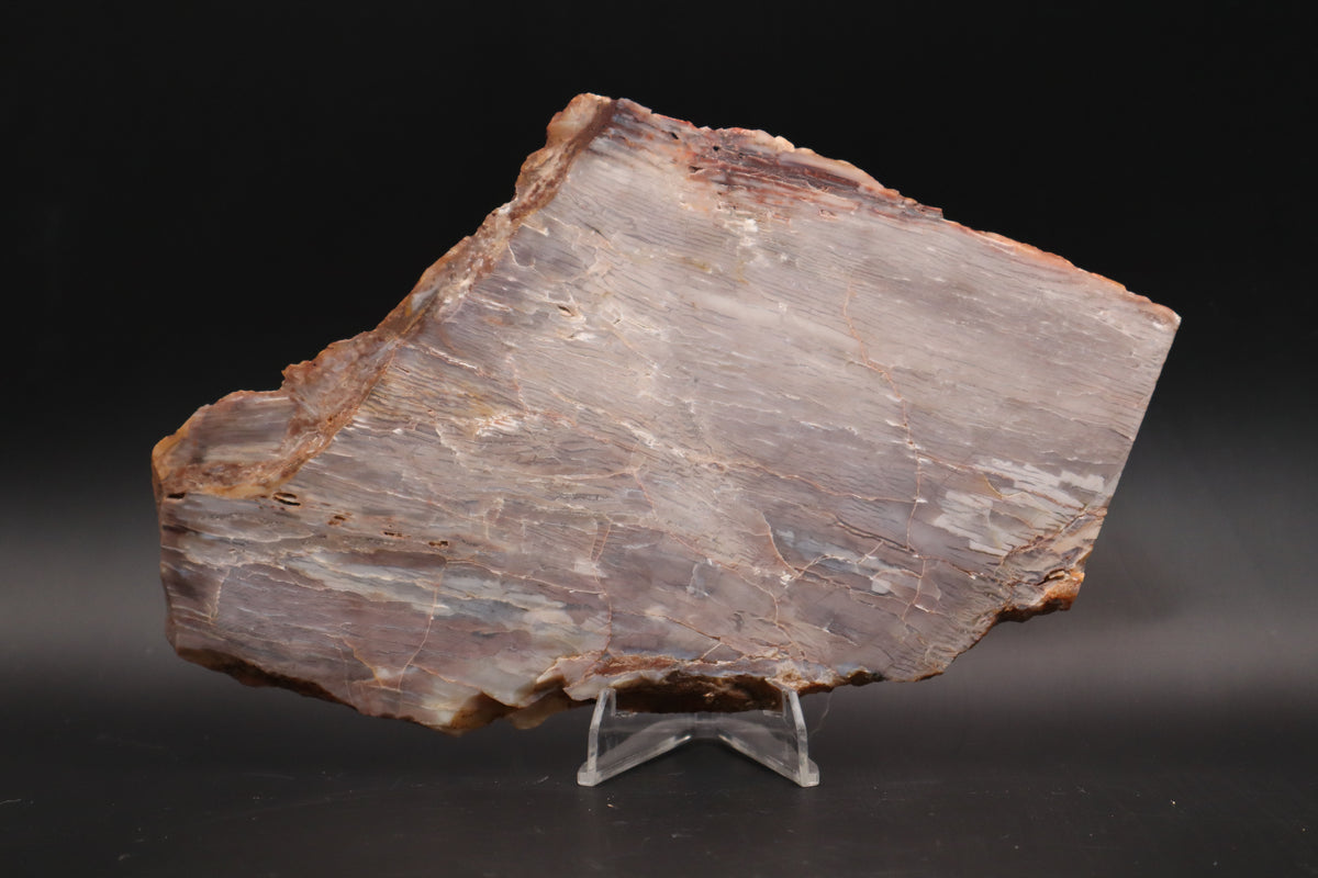 Baskinite Jasper slab (Unpolished)