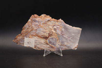 Baskinite Jasper slab (Unpolished)