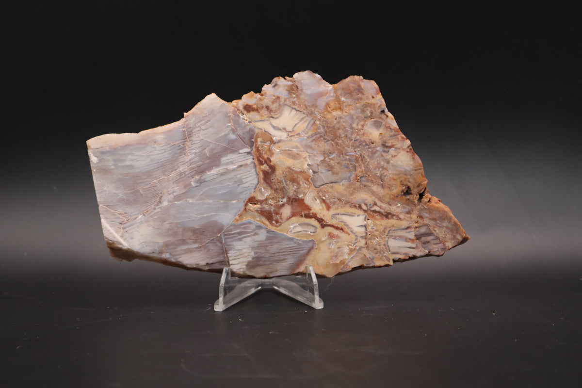 Baskinite Jasper slab (Unpolished)