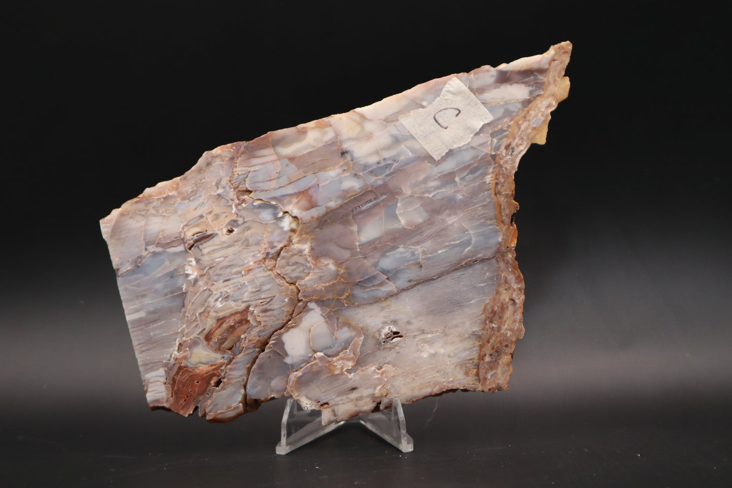 Baskinite Jasper slab (Unpolished)