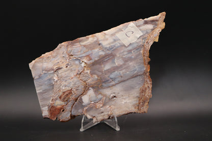 Baskinite Jasper slab (Unpolished)