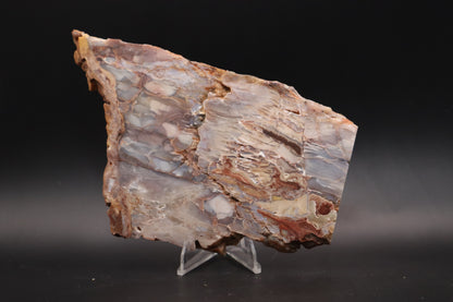 Baskinite Jasper slab (Unpolished)