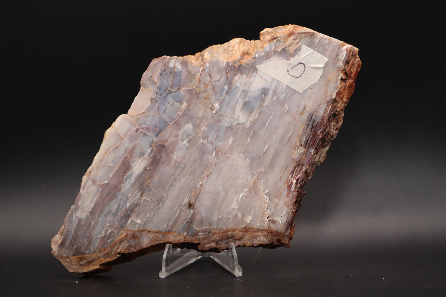 Baskinite Jasper slab (Unpolished)