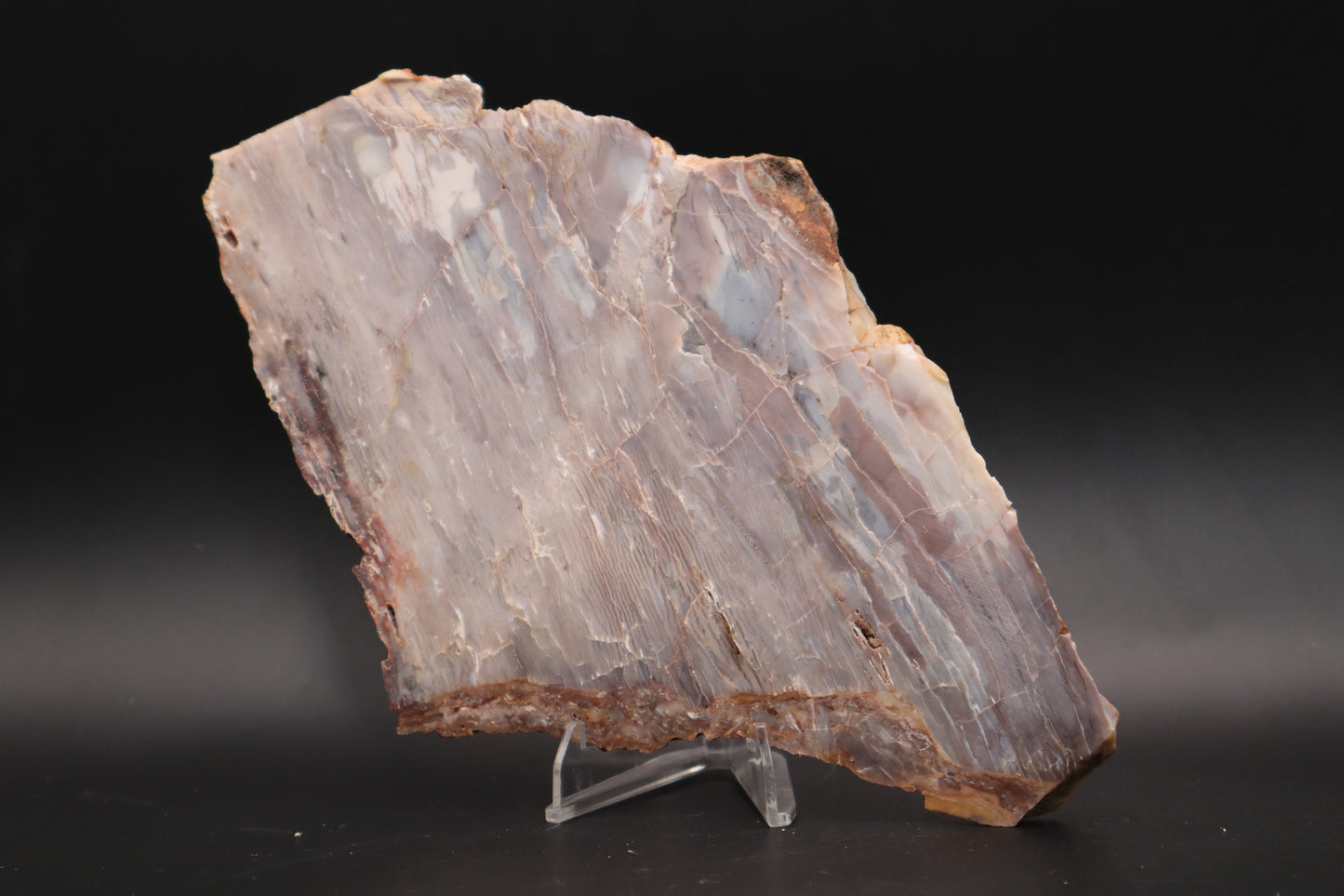 Baskinite Jasper slab (Unpolished)