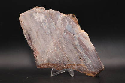 Baskinite Jasper slab (Unpolished)
