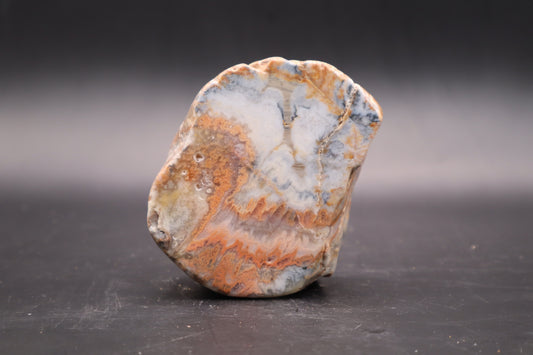 Wyoming flame sponge (Polished)