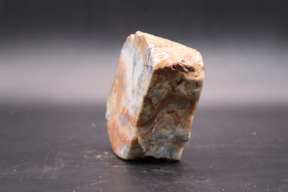 Wyoming flame sponge (Polished)