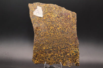 Fruit Jasper slab (Unpolished)
