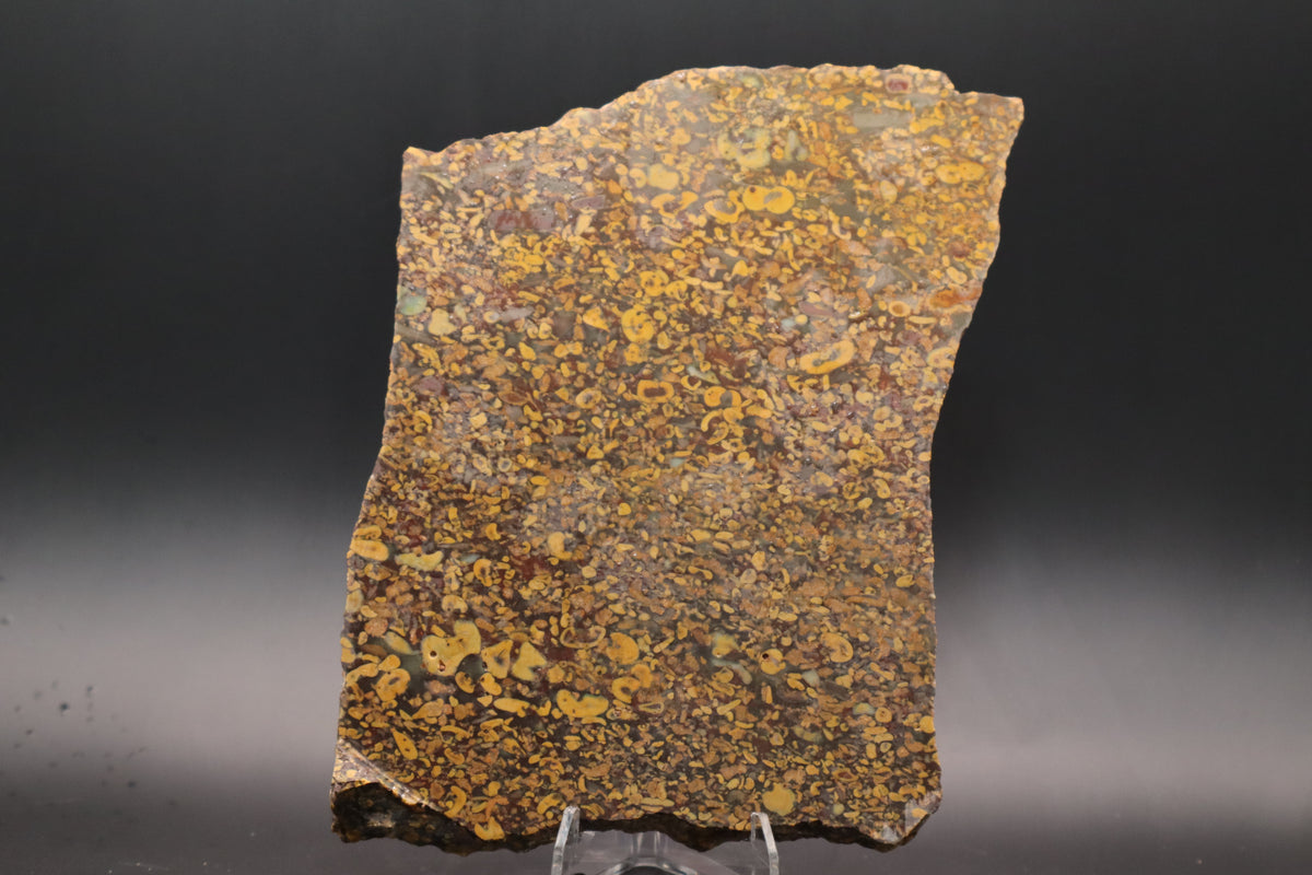 Fruit Jasper slab (Unpolished)