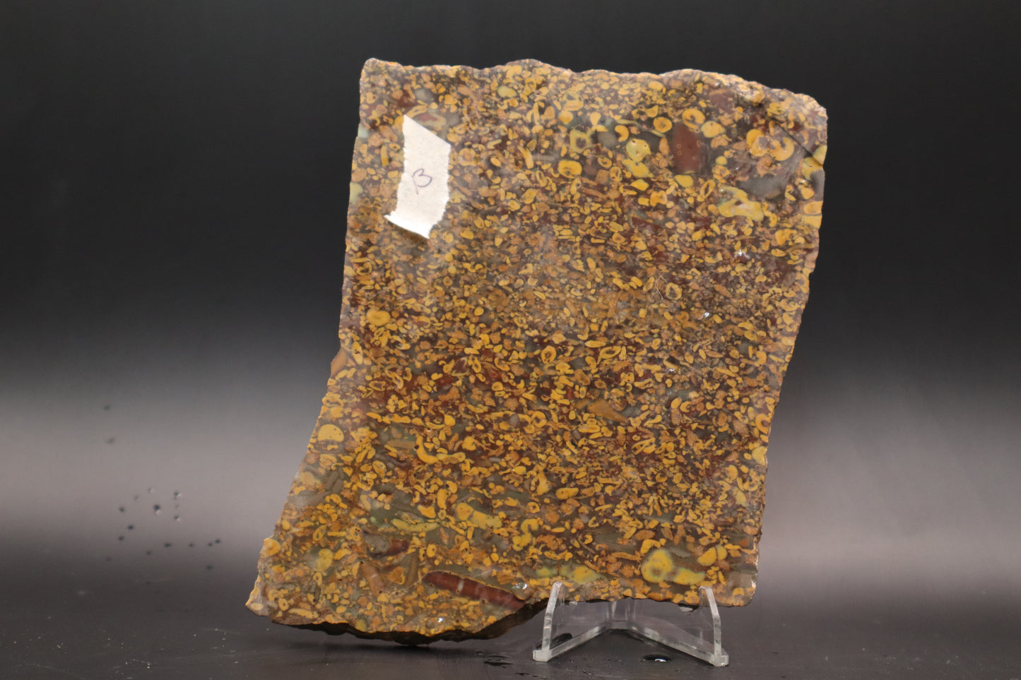 Fruit Jasper slab (Unpolished)