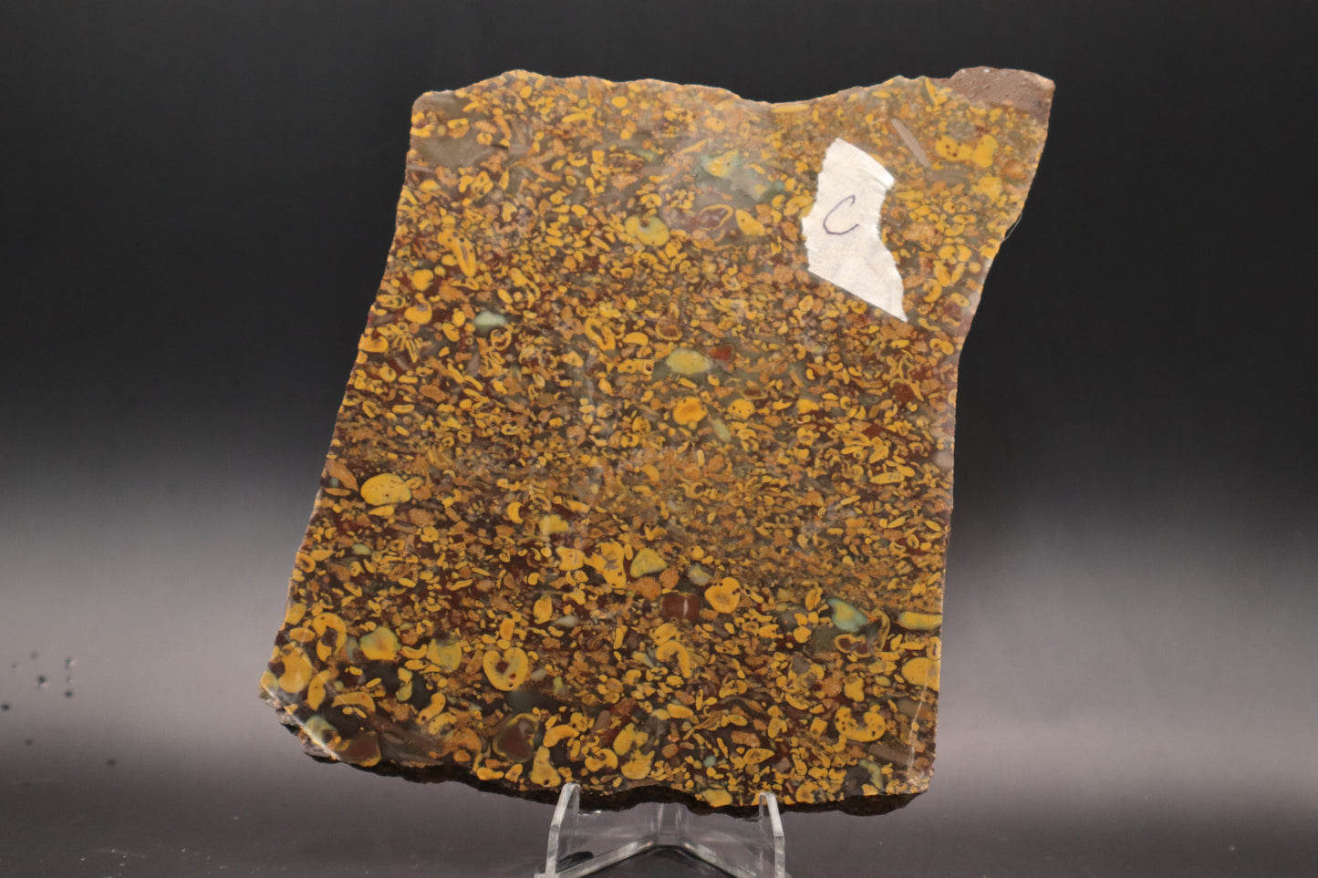 Fruit Jasper slab (Unpolished)