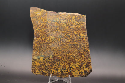 Fruit Jasper slab (Unpolished)