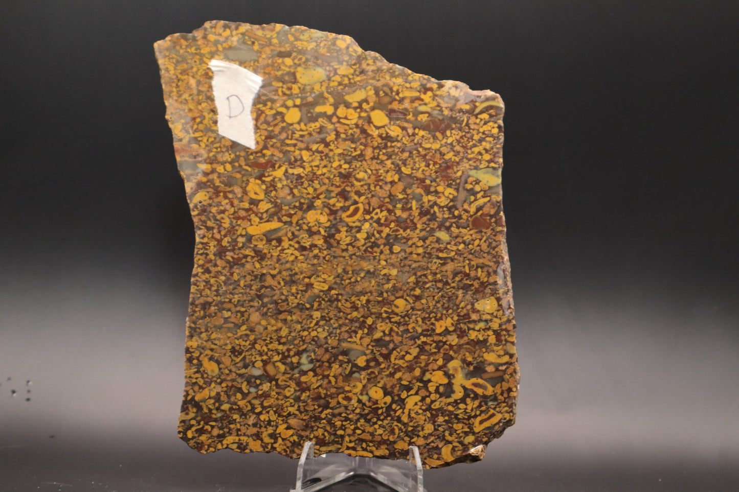 Fruit Jasper slab (Unpolished)