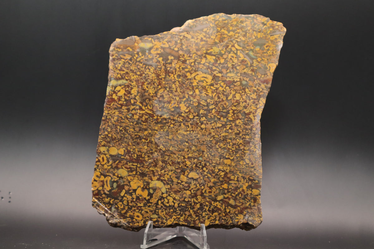Fruit Jasper slab (Unpolished)