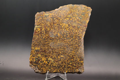 Fruit Jasper slab (Unpolished)