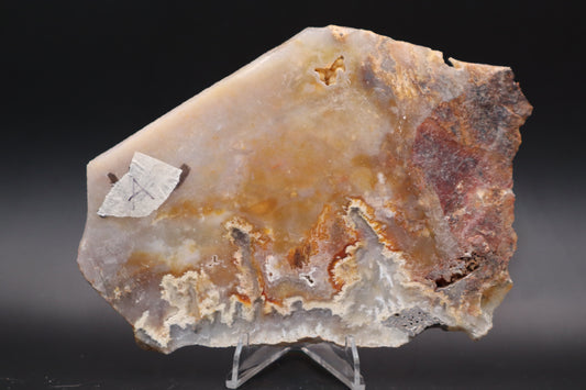 Prudent Man Agate slab (Unpolished)