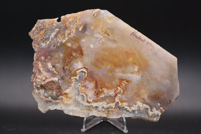 Prudent Man Agate slab (Unpolished)