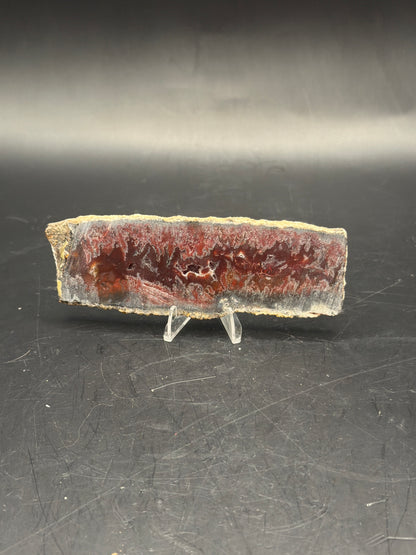 Mexican Flame Agate (Unpolished)