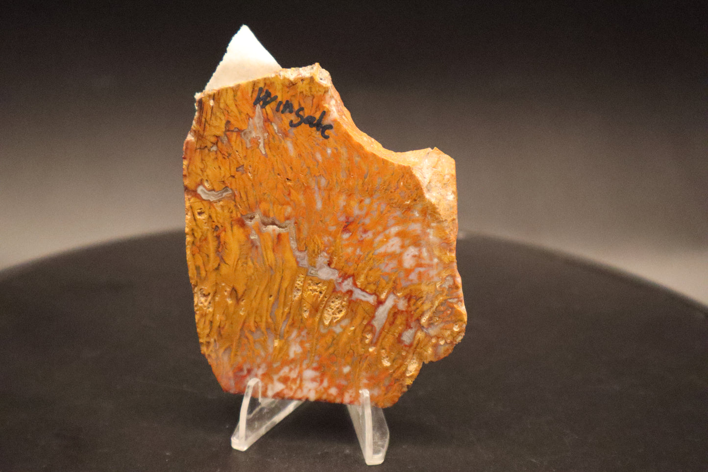 Wingate Pass Plume Agate slab (Unpolished)