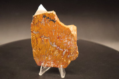 Wingate Pass Plume Agate slab (Unpolished)