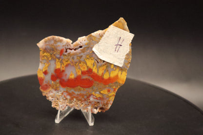 Wingate Pass Plume Agate slab (Unpolished)