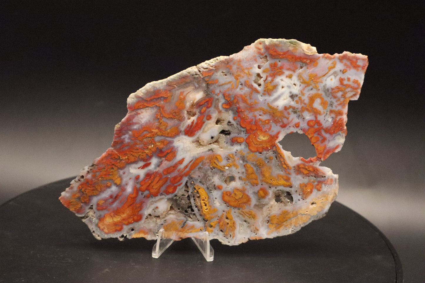 Wingate Pass Plume Agate slab (Unpolished)