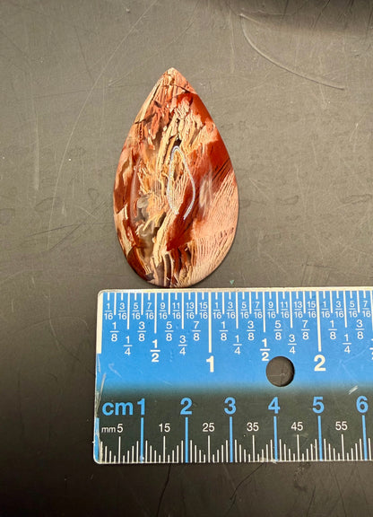 Howardite (Dead Camel Region) Cabochon
