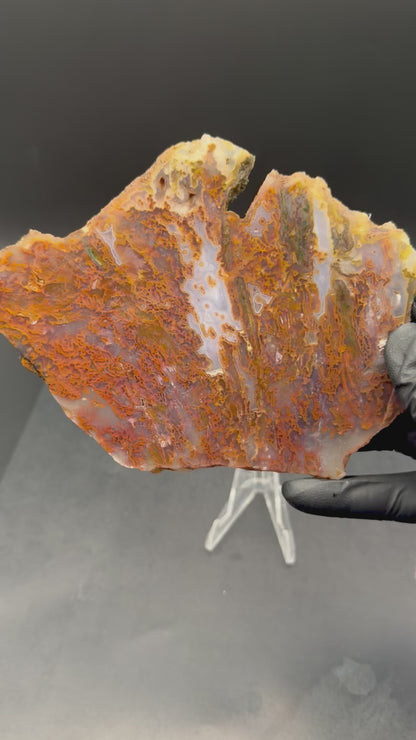 Bull Canyon Tube/Moss Agate (Unpolished)