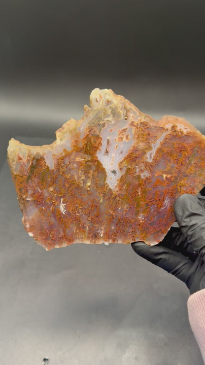 Bull Canyon Tube/Moss Agate (Unpolished)