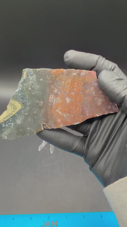 Maury Mountain Moss Agate (Unpolished) Slabs