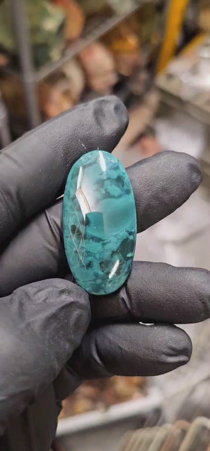 Skaggs Jasper Rough