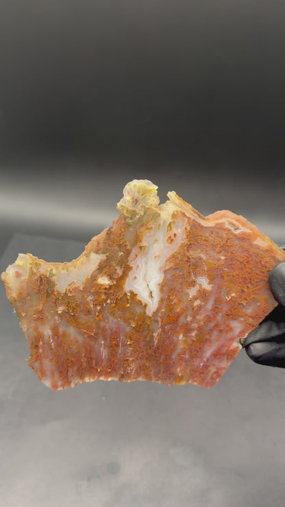 Bull Canyon Tube/Moss Agate (Unpolished)
