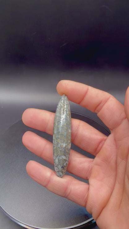 Native Silver Ore in Agate Cabochon