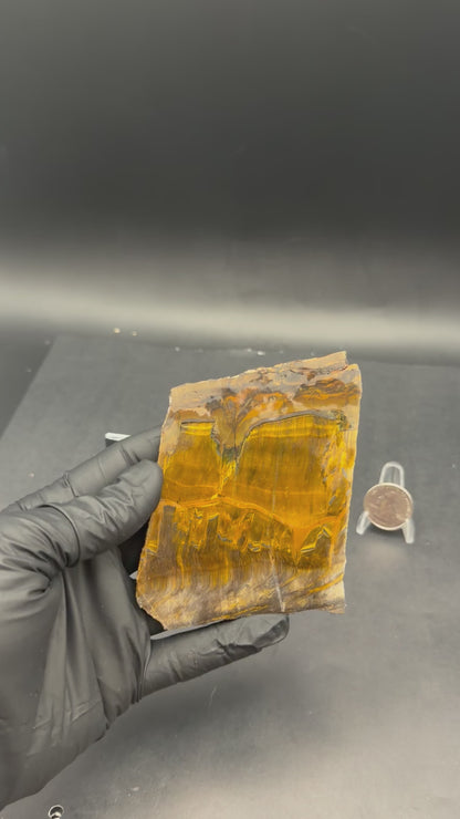 Tiger Eye (Unpolished)