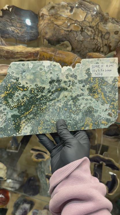 1st Vein Ocean Jasper (Unpolished)