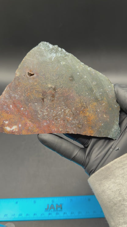 Maury Mountain Moss Agate (Unpolished) Slabs