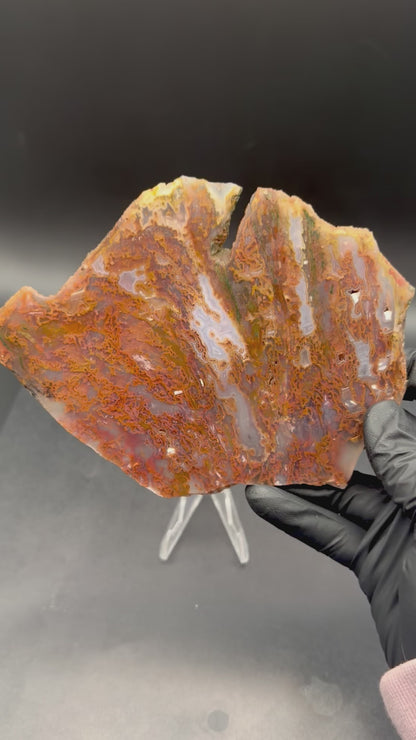Bull Canyon Tube/Moss Agate (Unpolished)