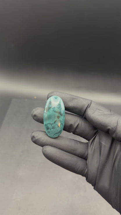 Skaggs Jasper Cabochon