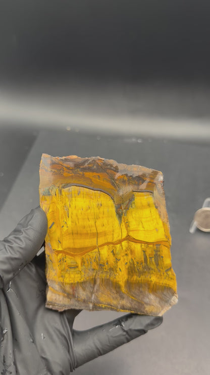 Tiger Eye (Unpolished)