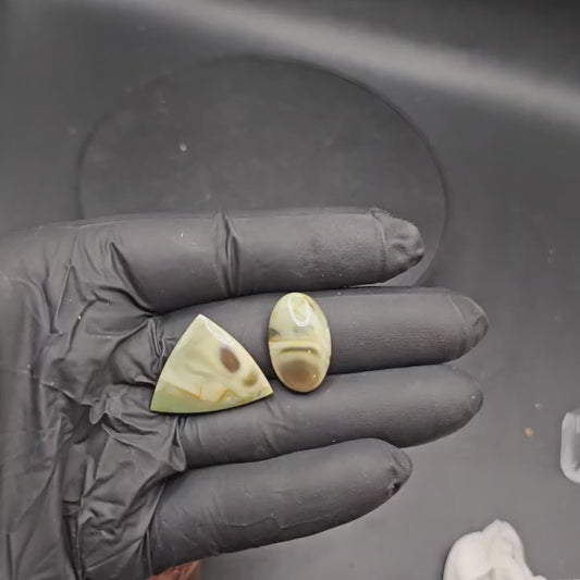 Royal Imperial Jasper