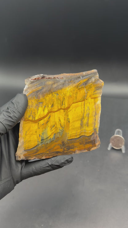 Tiger Eye (Unpolished)