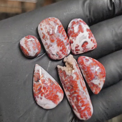 Paul Bunyan Agate