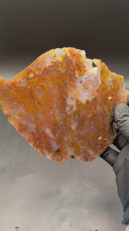 Bull Canyon Tube/Moss Agate (Unpolished)