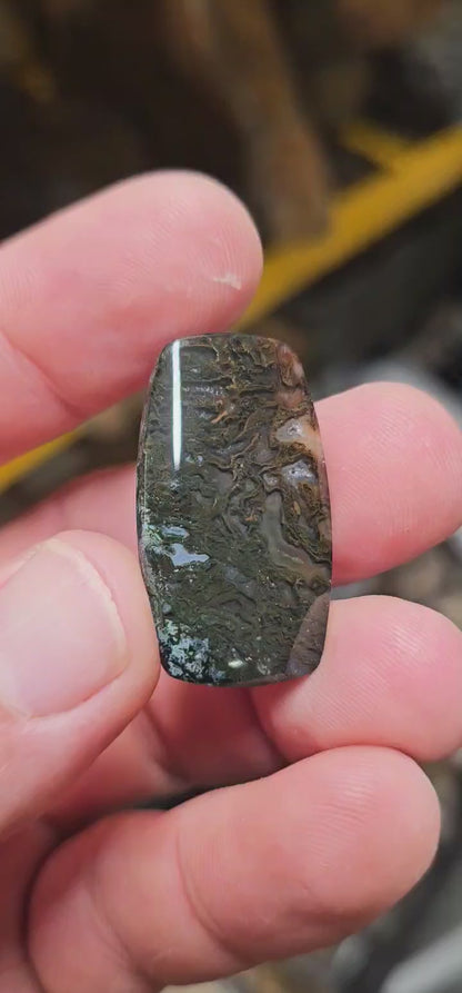 Maury Mountain Moss Agate (Unpolished) Slabs