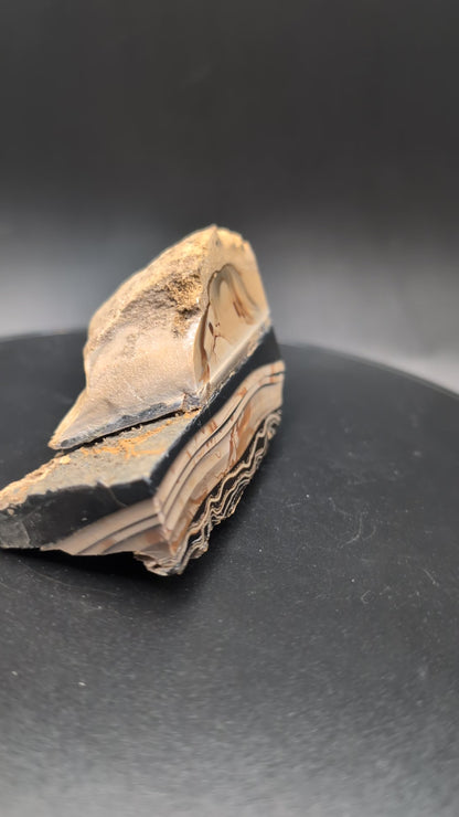 Fryite Jasper specimen (Collector's Grade-Polished)