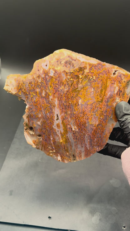 Bull Canyon Tube/Moss Agate (Unpolished)